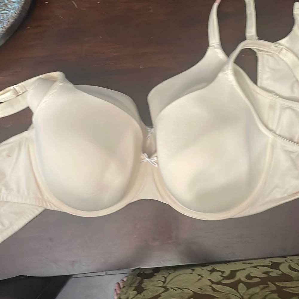 Cup size runs large